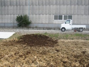 牛糞堆肥