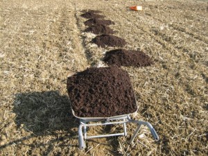 堆肥の散布