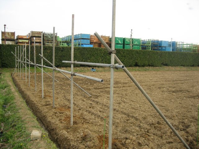 防風ネット用の支柱立て開始 園芸一直線
